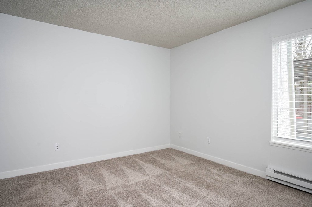 an empty room with carpet and two windows